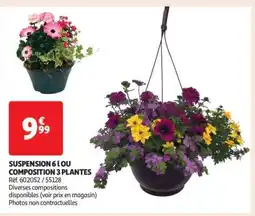 Auchan SUSPENSION 6 L OU COMPOSITION 3 PLANTES offre