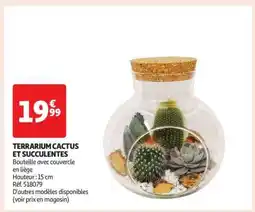 Auchan Terrarium Cactus Et Succulentes offre