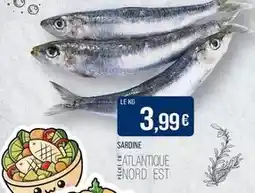 Match Sardine offre