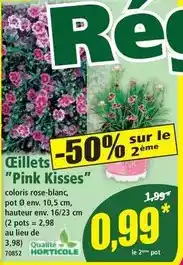 Norma Ceillets pink kisses offre