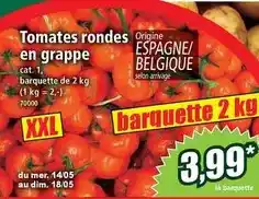 Norma Cat - tomates rondes en grappe offre