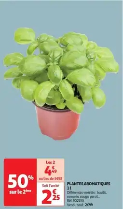 Auchan Drive Plantes aromatiques offre