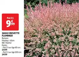Auchan Drive Saule crevette flamingo offre
