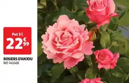 Auchan Drive Rosiers d'anjou offre