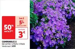 Auchan Drive Campanule offre