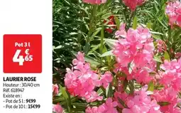 Auchan Drive Laurier rose offre