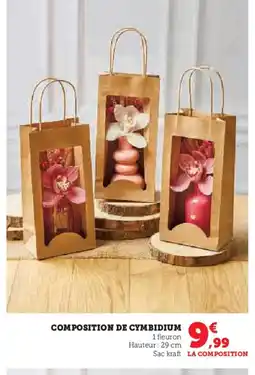 Hyper U Composition de cymbidium offre