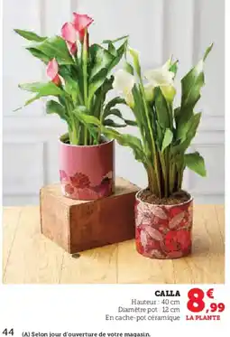 Hyper U Calla offre