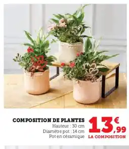Hyper U Composition de plantes offre
