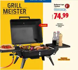 Lidl Barbecue à gaz offre