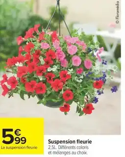 Carrefour Drive Suspension fleurie offre