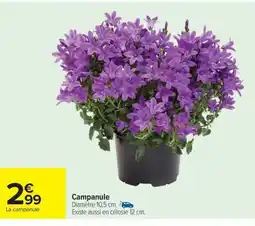 Carrefour Drive Campanule offre