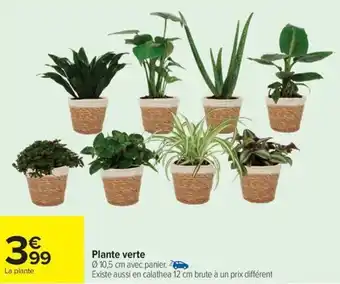 Carrefour Drive Plante verte offre
