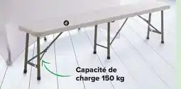 Carrefour Drive Banc pliable offre