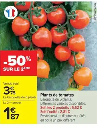 Carrefour Drive Plants de tomates offre