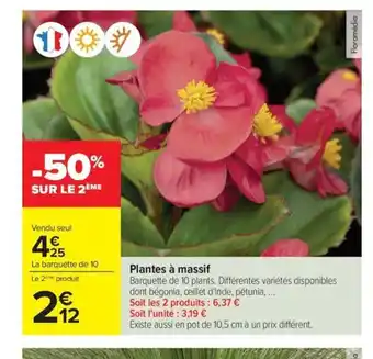 Carrefour Drive Plantes à massif offre