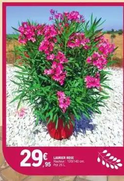 E.Leclerc Laurier rose offre