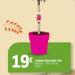 E.Leclerc LAURIER ROSE MINI-TIGE offre