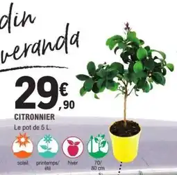 E.Leclerc Citronnier offre