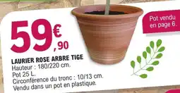 E.Leclerc LAURIER ROSE ARBRE TIGE offre