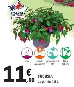 E.Leclerc Fuchsia offre