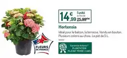 Botanic Botanic - hortensia offre