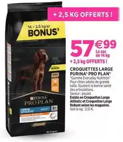 Delbard Purina - croquettes large offre