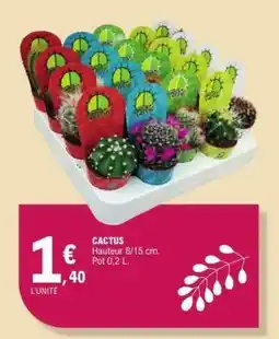 E.Leclerc Cactus offre