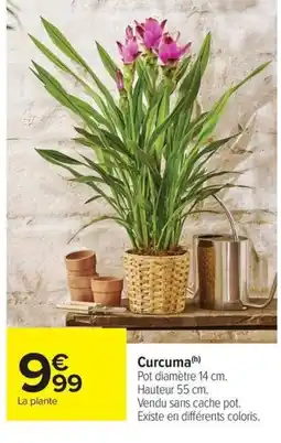 Carrefour Drive Curcuma offre