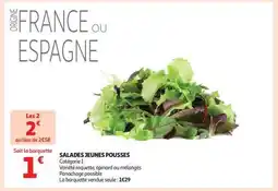 Auchan Salades Jeunes Pousses offre