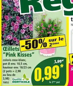 Norma Œillets Pink Kisses offre