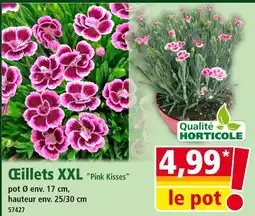 Norma Œillets XXL Pink Kisses offre