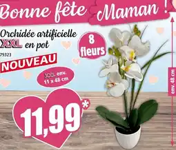 Norma Orchidée artificielle en pot offre