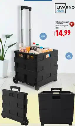 Lidl Livarno home Caisse de transport à roulettes offre