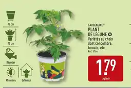ALDI GARDENLINE Plant de légume offre