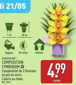 ALDI GARDENLINE Composition cymbidium offre