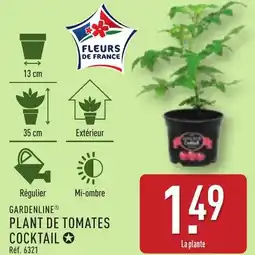 ALDI GARDENLINE Plant de tomates cocktail offre