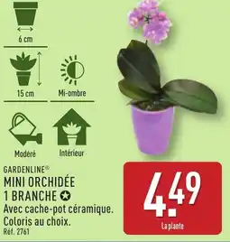 ALDI GARDENLINE Mini orchidée 1 branche offre