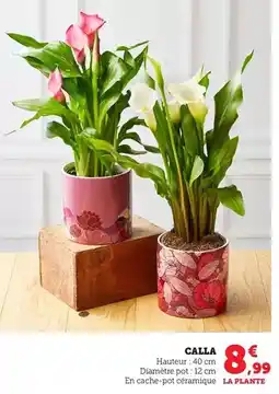 Bi1 Calla offre