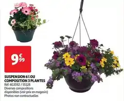 Auchan Suspension ou composition 3 plantes offre