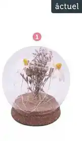 Auchan Actuel - déco fleurs séchées offre