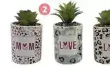 Auchan Actuel - plante artificielle dans son pot offre