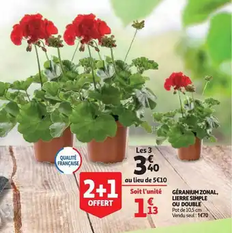 Auchan Direct Géranium Zonal, Lierre Simple Ou Double offre
