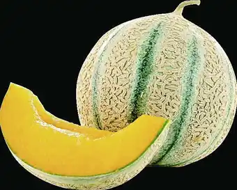Petit Casino MELON CHARENTAIS VERT offre