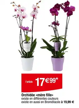 Carrefour Orchidée mère fille offre