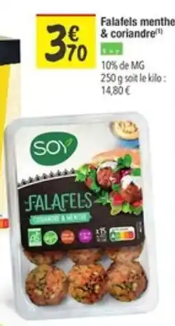 SOY Falafels menthe & coriandre
