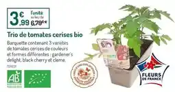 Botanic Trio de tomates cerises bio offre