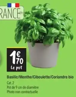 Les Comptoirs de la Bio Basilic/Menthe/Ciboulette/Coriandre bio offre