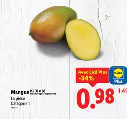 Lidl Mangue offre