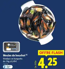 Lidl Moules de bouchot offre